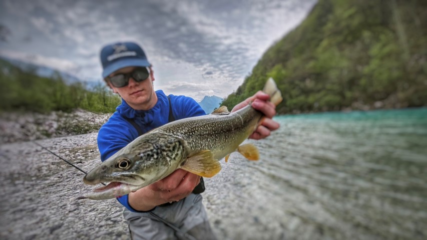 Marble trout Soca.